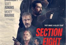 暗影特工 Section Eight (2022)