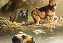 海狼之岛 Island of the Sea Wolves (2022)