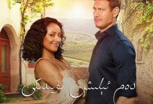 爱在度假屋 Love in the Villa (2022)