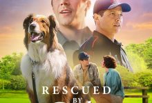 义犬救主 Rescued by Ruby (2022)