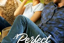 完美绝配 A Perfect Pairing (2022)