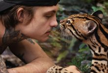 野猫 Wildcat (2022)