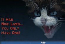 邪猫劫 Uninvited (1988)