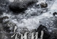 解冻 해빙 (2017)