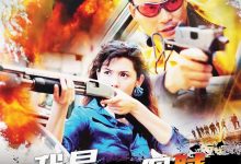 我是一个贼 我是一个賊 (1995)