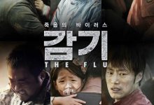 流感 감기 (2013)