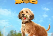 神探狗笨吉 Benji (2018)