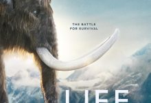 我们星球上的生命 Life on Our Planet (2023)