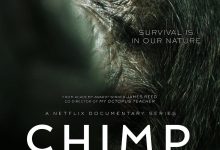 黑猩猩帝国 Chimp Empire (2023)
