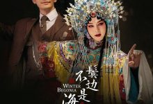 鬓边不是海棠红 (2020)