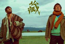 回西藏 (2022)