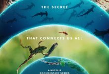 我们的生物世界 Our Living World (2024)