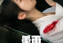 墨雨云间 (2024)