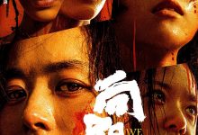 向阳·花 (2025)