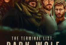 终极名单：黑狼 The Terminal List: Dark Wolf (2025)