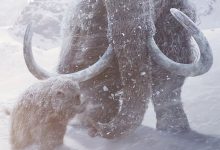 史前星球：冰川时代 Prehistoric Planet: Ice Age (2025)